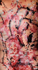 s68
