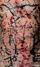 s522