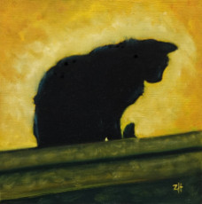 il-gatto-dospedaletti-2