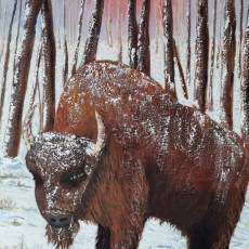 le-bison