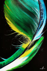 my-green-beautiful-feather