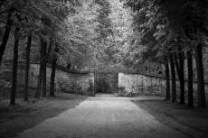 cloture-des-ombres