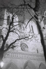 facade-parvis-notre-dame-avec-arbres