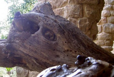 barcelona-parc-guell-dragon