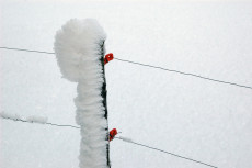 les-isolateurs-rouges