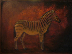 le-zebre-de-namibie