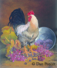 le-coq-vendengeur