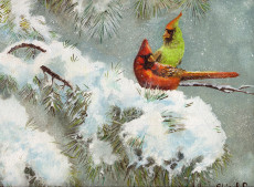 the-snow-cardinals