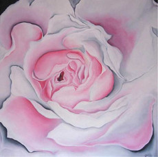 pink-rose