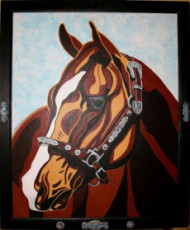 quarter-horse-cheval-western-portrait