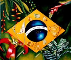 botanica-brasileira-serie-bandeiras-brasileiras