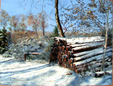 tas-de-bois-en-hiver