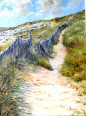 sentier-sur-la-dune