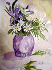 marguerite-sau-pot-mauve