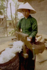 femme-filant-le-coton-nord-laos