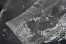 gris-2