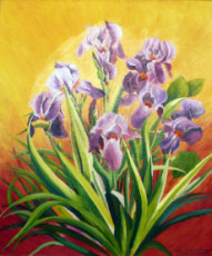 16-bouquet-d-iris
