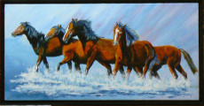 98-chevaux-camargais