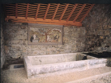 le-lavoir-du-village-de-curienne-savoie