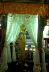 boudha-d-or-fin-sortie-juste-pour-le-nouvel-an-luang-pabang-laos