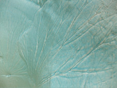 detail-vase-celadon