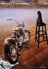 la-motocyclette-au-chat