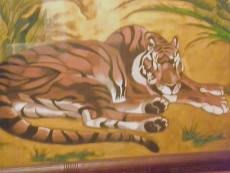 tigre-sous-feuilles