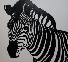 zebre