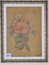 rose-peinte-en-1935