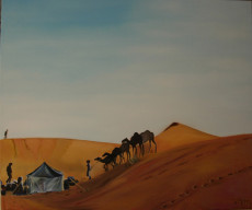 caravane-de-chameaux-desert-de-ladrar-mauritanie