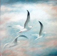 les-mouettes