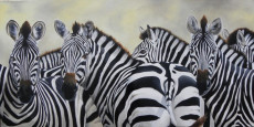 la-famille-zebres