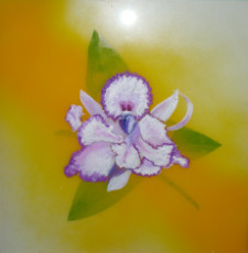 orchidee-blanche-et-mauve