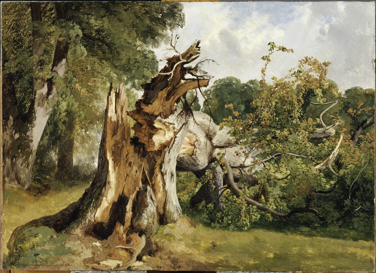 Arbre brisé au Kerket, près de Meyringen, d’Alexandre Calame