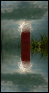 ettolrach01