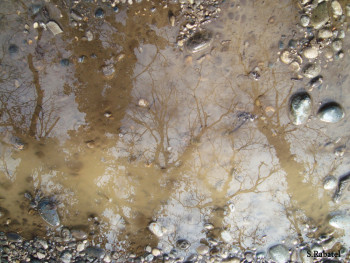Œuvre contemporaine nommée « reflet 8 », Réalisée par SYLVIE RABATEL