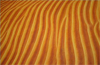 Œuvre contemporaine nommée « Ombre et lumière », Réalisée par MARCO RE