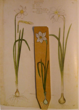 Œuvre contemporaine nommée « marque page Narcisse », Réalisée par LAURENT SERRE
