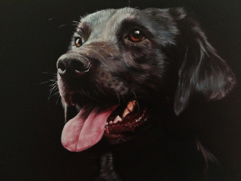 Œuvre contemporaine nommée « Le portrait de Labrador noir (chien) », Réalisée par YANIS