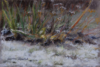 Œuvre contemporaine nommée « Végétation d'hiver », Réalisée par CORINNE QUIBEL