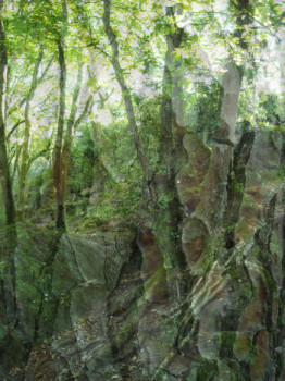 Œuvre contemporaine nommée « Deep forest », Réalisée par HéLèNE ZENATTI