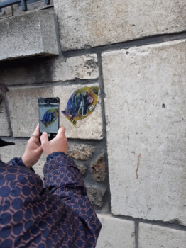 Œuvre contemporaine nommée « Poisson 242 & nu », Réalisée par FAHIMA BOUBIA... NU