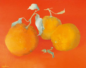 Œuvre contemporaine nommée « Les oranges amères », Réalisée par MARTHE BRILMAN