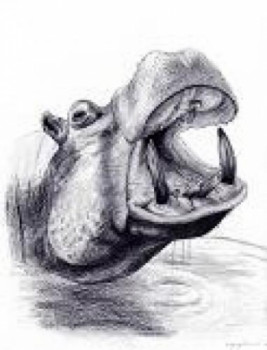 Œuvre contemporaine nommée « Hippopotame », Réalisée par CHLOé YZOARD