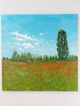 Œuvre contemporaine nommée « Paisaje con amapolas en primavera », Réalisée par RUBéN DE LUIS