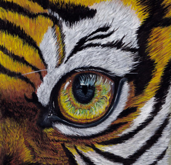 Œuvre contemporaine nommée « L'Œil du Tigre », Réalisée par MéLODIE TIBERGHIEN