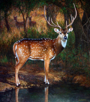 Œuvre contemporaine nommée « Axis deer », Réalisée par GABRIEL HERMIDA