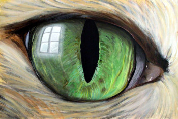 Œuvre contemporaine nommée « FANTASTIQUE - "L'Oeil du Chat" », Réalisée par AGRISELIN