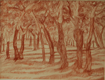 Œuvre contemporaine nommée « Sous-bois de chênes-lièges(ORAN) », Réalisée par AFFIF CHERFAOUI