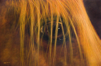 Œuvre contemporaine nommée « El ojo de Morazurco », Réalisée par CHRISTINE CHEMIN
